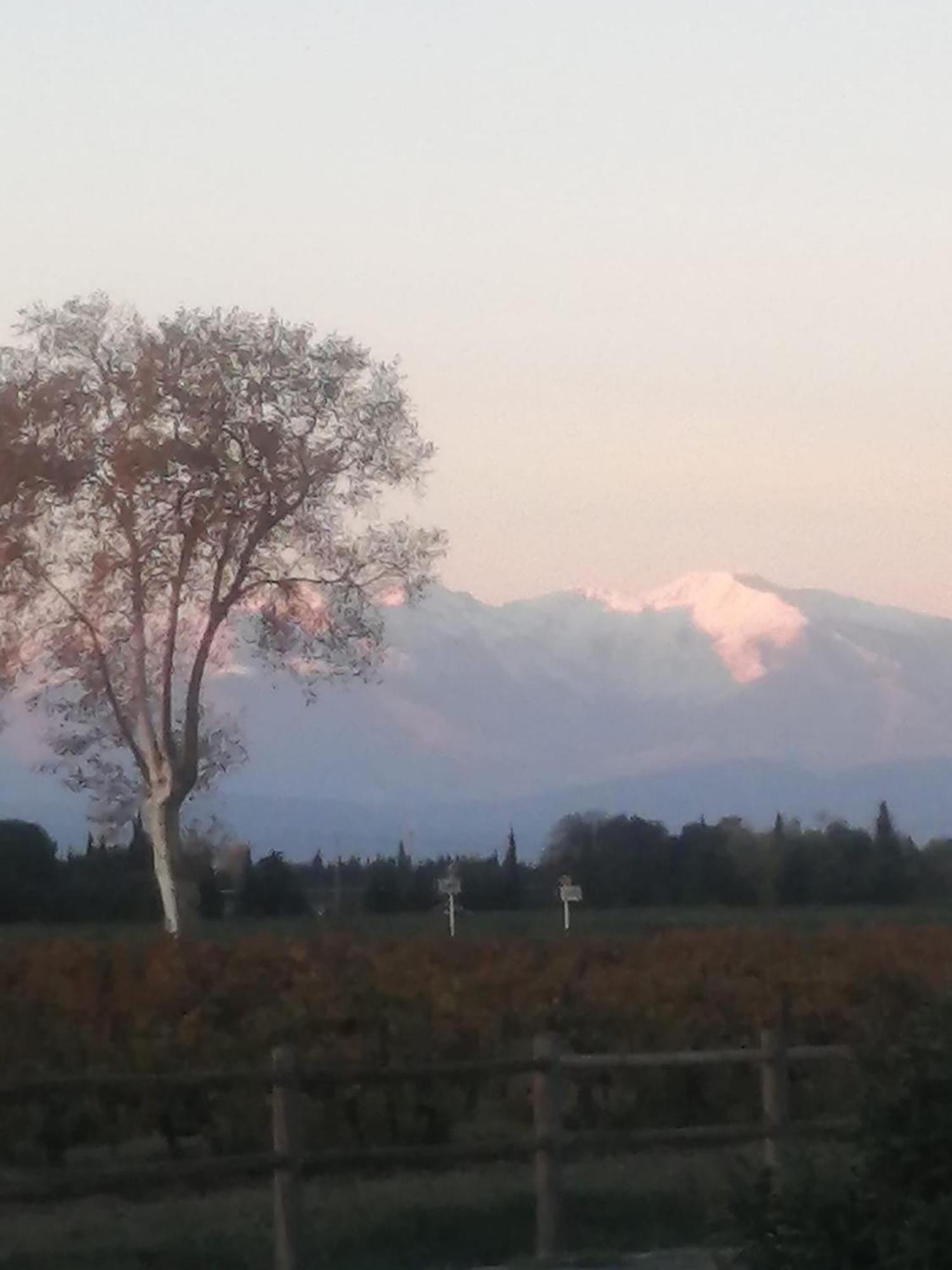 Appart Entre Mer Et Montagne, Linges Inclus Alénya Exteriör bild